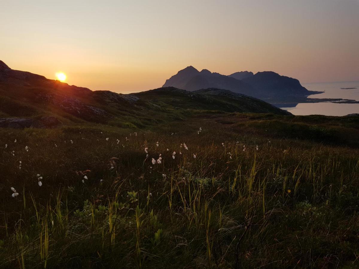 Villa Walter Lofoten With Sauna Kvalnes  Eksteriør billede