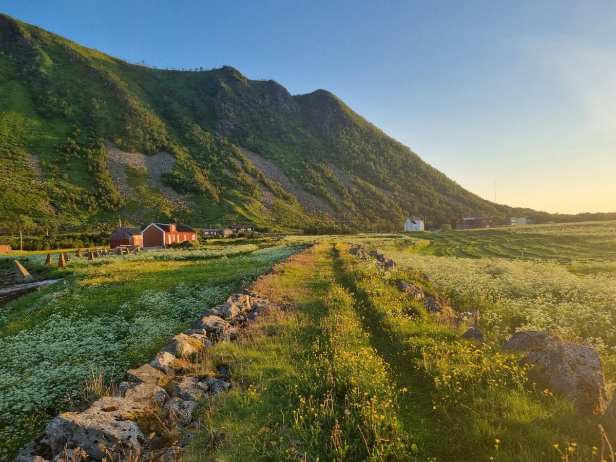 Villa Walter Lofoten With Sauna Kvalnes  Eksteriør billede