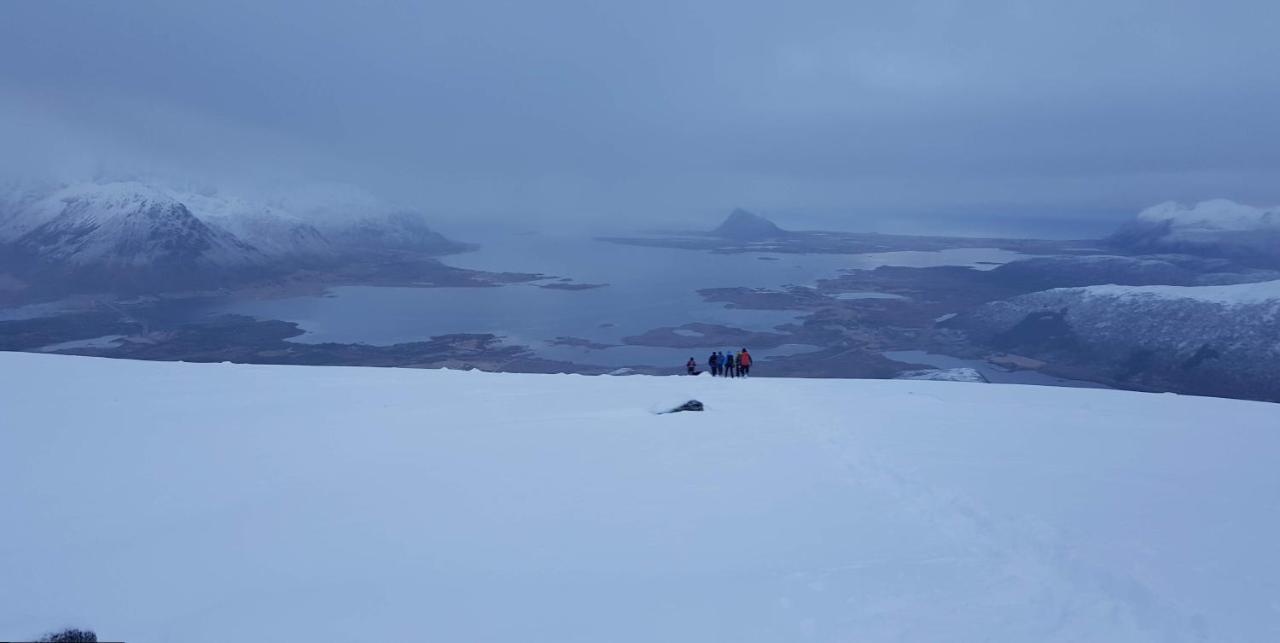Villa Walter Lofoten With Sauna Kvalnes  Eksteriør billede
