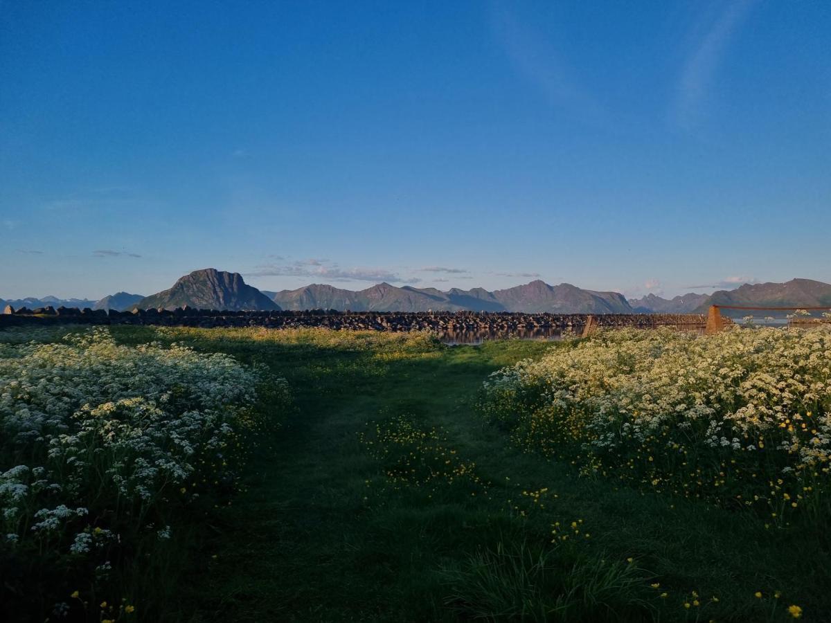 Villa Walter Lofoten With Sauna Kvalnes  Eksteriør billede